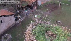 bandicam 2025-01-24 16-20-00-471.jpg