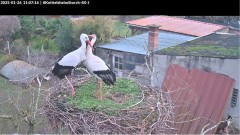 bandicam 2025-01-26 11-07-51-526.jpg
