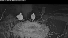 bandicam 2025-01-26 20-19-12-003.jpg