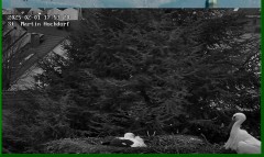bandicam 2025-02-01 17-54-01-231.jpg