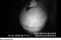 bandicam 2025-02-01 23-02-53-484.jpg