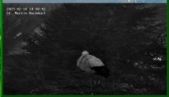 bandicam 2025-02-10 18-09-23-214.jpg