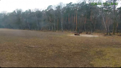 2025-02-12 12_58_38-Żubry Online _ Wisents Online - YouTube - Maxthon.png