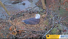 2025-02-12 21_51_35-Bluff City Cam 1_ ETSU_BTES Eagle Camera - YouTube - Maxthon.png