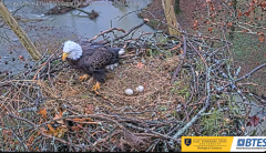 2025-02-12 21_51_56-Bluff City Cam 1_ ETSU_BTES Eagle Camera - YouTube - Maxthon.png