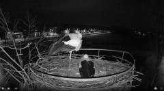 bandicam 2025-02-16 19-00-09-807.jpg