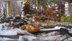 2025-02-18 22_10_31-Mandragora Park – karmnik na żywo - YouTube - Maxthon.png
