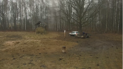 2025-02-28 11_34_15-Żubry ONLINE - Nadleśnictwo Browsk - Lasy Państwowe - Maxthon.png