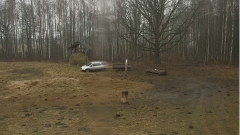 2025-02-28 11_37_28-Żubry ONLINE - Nadleśnictwo Browsk - Lasy Państwowe - Maxthon.png
