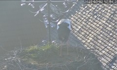 bandicam 2025-03-02 22-41-17-891.jpg