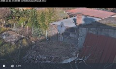 bandicam 2025-03-06 15-50-10-402.jpg