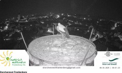 bandicam 2025-03-08 00-00-41-067.jpg