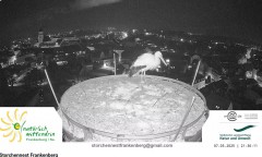 bandicam 2025-03-08 00-00-51-503.jpg