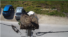 2025-03-09 12_59_48-Embedding IP Camera Live Video Stream into web page - IPCamLive.com - Maxthon.png