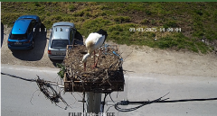 2025-03-09 12_59_58-Embedding IP Camera Live Video Stream into web page - IPCamLive.com - Maxthon.png