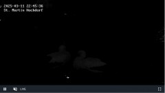 bandicam 2025-03-11 22-46-13-775.jpg