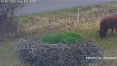 bandicam 2025-03-12 17-11-55-278.jpg