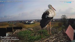 20250313_094541.jpg