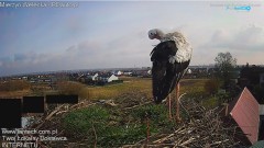 20250313_094609.jpg