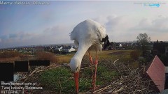 20250313_094647.jpg