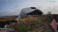 20250313_094650.jpg
