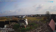 20250313_094744.jpg