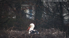 2025-03-13 14_00_44-Angelcam - Maxthon.png