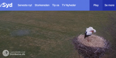 2025-03-13 14_25_29-Storkereden _ tvSyd - Maxthon.png
