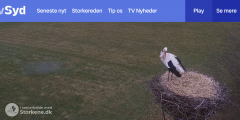 2025-03-13 14_26_25-Storkereden _ tvSyd - Maxthon.png