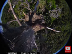 2025-03-13 20_43_29-Southwest Central Florida Eagle Cam #baldeagle #fledgling #livestream #learningt.png