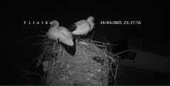 2025-03-14 22_17_40-Embedding IP Camera Live Video Stream into web page - IPCamLive.com - Maxthon.png