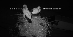 2025-03-14 22_22_33-Embedding IP Camera Live Video Stream into web page - IPCamLive.com - Maxthon.png