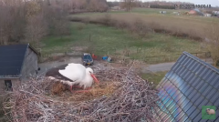 2025-03-15 22_57_58-livestream chimney stork Terwolde - YouTube – Slimjet.png