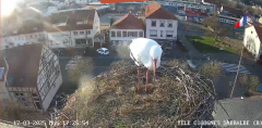 2025-03-17 17_26_40-Ville de Sarralbe _ Télé-Cigognes - Webcam Live (Sarralbe, Moselle) - Maxthon.png
