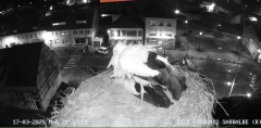 2025-03-17 20_38_14-Ville de Sarralbe _ Télé-Cigognes - Webcam Live (Sarralbe, Moselle) - Maxthon.png