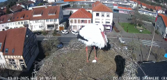 2025-03-19 10_46_39-Ville de Sarralbe _ Télé-Cigognes - Webcam Live (Sarralbe, Moselle) - Maxthon.png