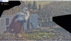 IMG_8432.jpeg