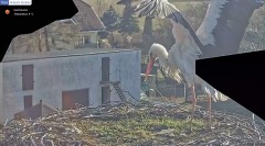 IMG_8436.jpeg