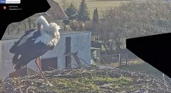 IMG_8439.jpeg
