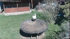 2025-03-19 21_50_07-BirdMania - WebCam-1 - YouTube - Maxthon.png