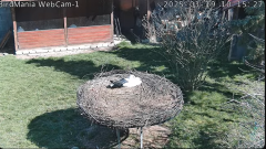 2025-03-19 21_50_25-BirdMania - WebCam-1 - YouTube - Maxthon.png
