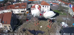 2025-03-20 11_35_53-Ville de Sarralbe _ Télé-Cigognes - Webcam Live (Sarralbe, Moselle) - Maxthon.png