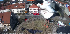 2025-03-20 11_36_06-Ville de Sarralbe _ Télé-Cigognes - Webcam Live (Sarralbe, Moselle) - Maxthon.png