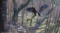 IMG_8546.jpeg