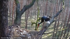 IMG_8545.jpeg