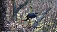 IMG_8547.jpeg