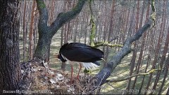 IMG_8549.jpeg
