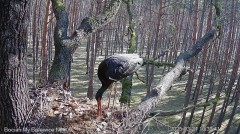 IMG_8552.jpeg