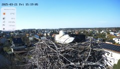 IMG_8561.jpeg