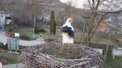 IMG_8584.jpeg